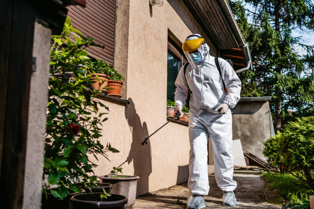 Best Ant Control Services  in Guernsey, WY