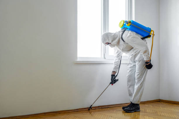 Best Wildlife Control Services  in Guernsey, WY