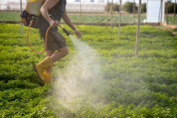 Best Wasp Removal Services  in Guernsey, WY