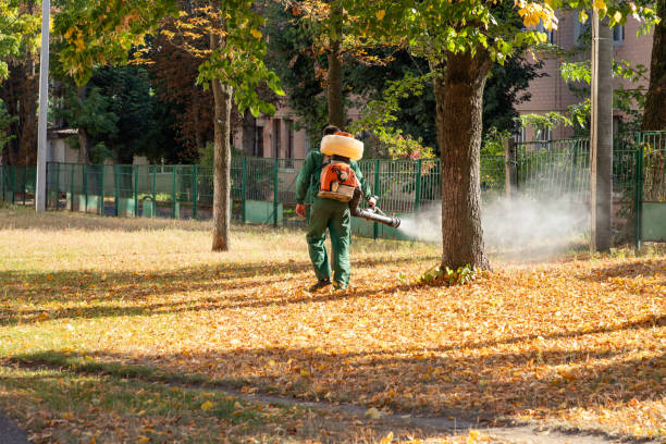 Best Flea Control Services  in Guernsey, WY