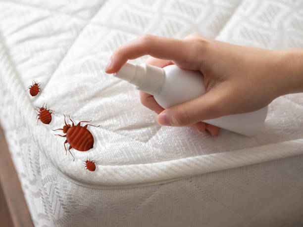 Pest Prevention Services in Guernsey, WY