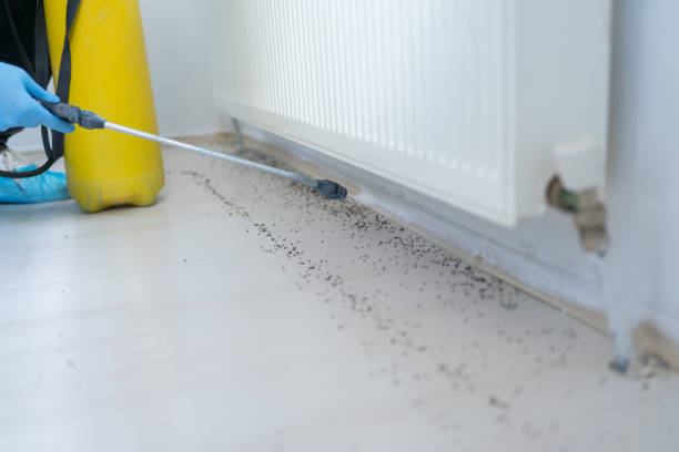 Best Best Pest Control Companies  in Guernsey, WY